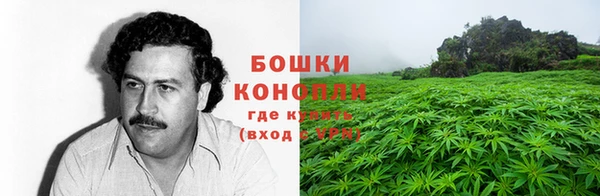 эйфоретик Богородск