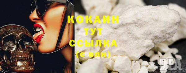 сатива Богданович