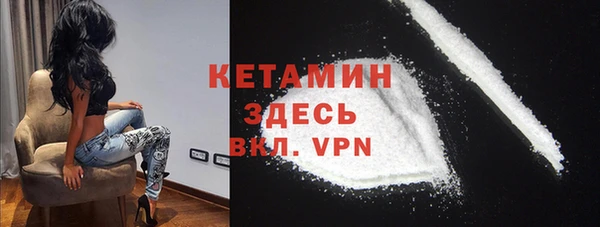 сатива Богданович