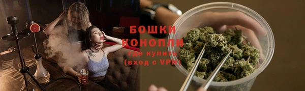 сатива Богданович