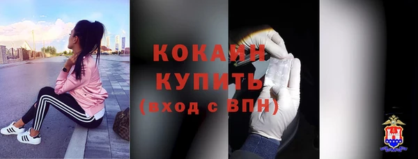 прущий лед Богородицк
