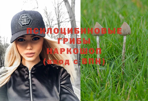 эйфоретик Богородск