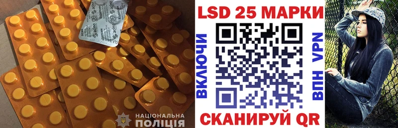 где найти наркотики  Электрогорск  ЛСД экстази ecstasy 